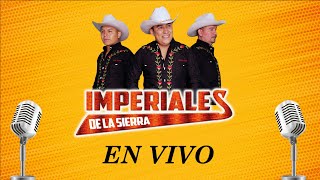 Corrido de los mat0nes Imperiales de la Sierra EN VIVO [upl. by Auston]