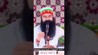 Saintdr Msg live satsang moj saintmsg satsang msglive msg msglowmotivation subscribe live [upl. by Zora]