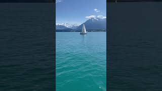 📍Thunersee Switzerland 📸🇨🇭 nature travel asmr [upl. by Nomrej441]