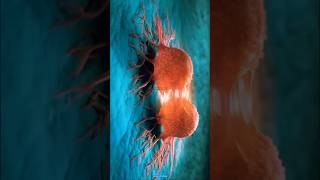 Cancer Cells vs Nanobots 👹👺shorts cancer biology science [upl. by Dnaltruoc]