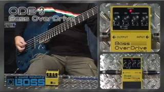 BOSS ODB3 Bass OverDrive BOSS Sound Check [upl. by Nigen]