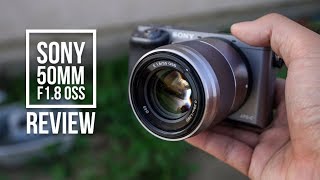 Sony 50mm F18 OSS Review 2017  Sony a6000 Image Samples [upl. by Dominus663]