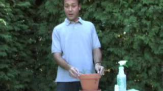 CanadianGardeningcom presents Propagating Conifers [upl. by Norrahc212]