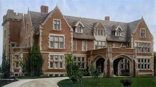 The Millionaire Doctor Who Risked Everything to Save a Puppy Inside the Newman Mansion in Detroit [upl. by Bailey]