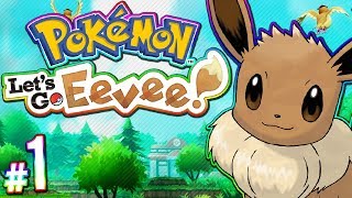 Pokemon Lets Go Eevee  100 Full Game Walkthrough  PART 1 [upl. by Doble]