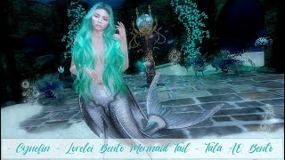 Tala AO Bento Cynefin Lorelei Bento Mermaid Tail [upl. by Cogan771]