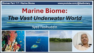 Biomes Part 7 Marine Biome The Vast Underwater World [upl. by Stewardson]