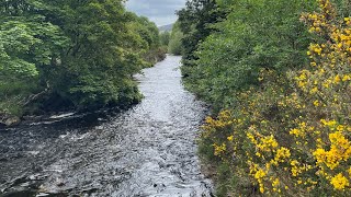 Wicklow Ireland Glendalough May 2024 NCL Star Ireland Cruise excursion [upl. by Winthrop]