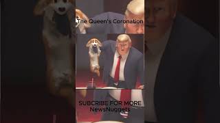 The Queen’s Coronation  Explanation Hindi Shorts hollywood cartoon shorts [upl. by Alyk58]