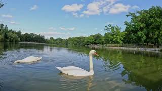 KISSENA PARK 9 1 2024 [upl. by Vyse542]