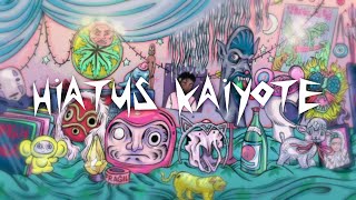 Hiatus Kaiyote  Chivalry Is Not Dead Official Video [upl. by Veronique]