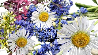 Drying Small Flowers In Silica Gel [upl. by Arfihs]