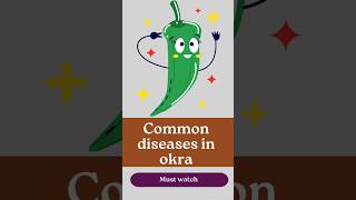 Common diseases in Okra cultivation [upl. by Volnak935]