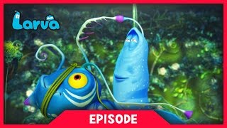 LARVA  LARVATAR  AVATAR LARVA  2017 Cartoon Movie  Cartoons  Comics  라바  LARVA Official [upl. by Hersch]