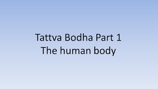 08 Tattva Bodha 1 [upl. by Ondrea]