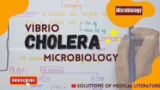 Vibrio Cholera  Pathogenesis  signs amp symptoms  diagnosis amp Treatment  MICROBIOLOGY [upl. by Dav345]