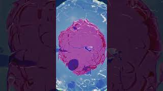 In vitro fertilization IVF animation medicalanimation ivf medstudent [upl. by Aivart]