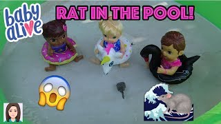 Baby Alives Find Rat In The Pool [upl. by Tesler516]