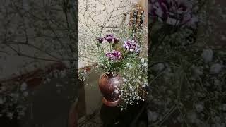 Babies breath tiny white 🤍flowers in copper Vaz 071024 watch my video [upl. by Neitsabes]