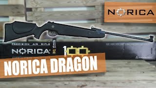 NORICA DRAGON [upl. by Vilhelmina]