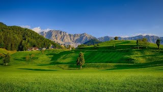 4K UHD Video  Beautiful Meadows  Grassland  Grassland Habitat [upl. by Ainnek]