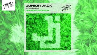 Junior Jack  Stupidisco Deeperlove Remix [upl. by Eiryk401]