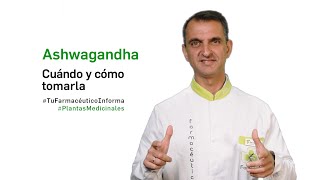 Ashwagandha cuándo y cómo tomarla Tu Farmacéutico Informa  PlantasMedicinales [upl. by Jadda]