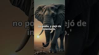 La Soga que Detiene al Elefante Rompe tus Creencias Limitantes historiasmotivacionales motivacion [upl. by Aknahs536]