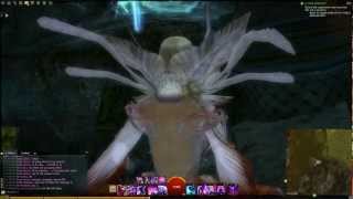 GW2 Conundrum Cubed Mount Maelstrom jumping puzzle guide [upl. by Inava]