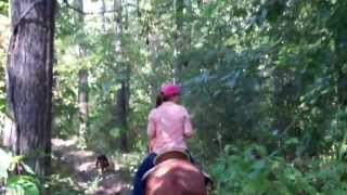 Texas Horses Horseback Riding Trail Ride Huntsville State Park Lake Raven [upl. by Ignazio]