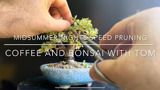 Bonsai Speed Pruning On A Midsummer Night [upl. by Allerym]