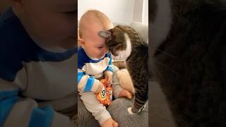 Cat is much friendlier with baby ❤️🐱😂 [upl. by Lenor]