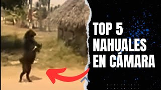 5 NAHUALES REALES CAPTADOS en LA VIDA REAL y en CÁMARA [upl. by Idyak]