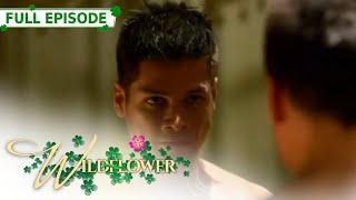 ENG SUB Ep 119  Wildflower  Maja Salvador Tirso Cruz III Aiko Melendez [upl. by Laved]