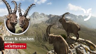 Steinbock Spot quotKlettererquot mit Gian und Giachen [upl. by Hannaj]