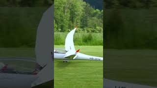 SchemppHirth Arcus HMODEL  8m giant scale RC glider  water load draining rcglider rcaerotow [upl. by Anahpos]