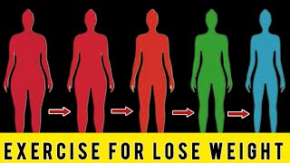 Exercise For Lose Weight Fast At Home  NO EQUIPMENT [upl. by Adlihtam]