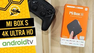 Xiaomi Mi Box S 4K Android TV Box with Google Assistant and Chromecast BuiltIn [upl. by Thirzia928]