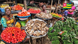 Cheapest food market Shopping in lomé Togo west Africa My 24 monthly grocery shopping in Togo 🇹🇬 [upl. by Rimahs]