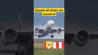 Sounds All Pilots Are Scared Of  shorts [upl. by Derzon]