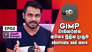 Gimp Photo Editor ShortCuts and Basic Knowledge  Sinhala Tutorial [upl. by Per565]