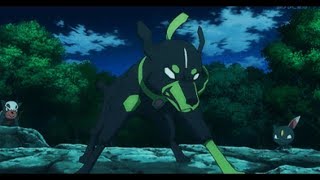 Zygarde AMV  Courtesy Call [upl. by Vladimar]