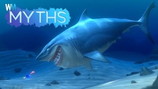 Top 5 Myths About Sharks [upl. by Lorena]