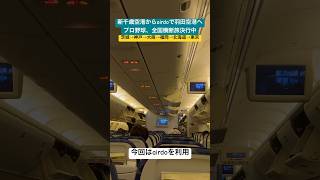 airdoで新千歳空港から羽田空港へ✈️ 巨人戦、プロ野球日本横断旅決行中！🏟️ 茨城→神戸→大阪→福岡→北海道→東京→名古屋 [upl. by Burt]