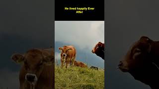 Whatever Happened to Herb Alperts Lonely Bull [upl. by Yenal349]