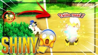 CANINOS SHINY EN COMBO CAPTURE  ✨ POKÉMON LETS GO PIKACHU [upl. by Bloomer]