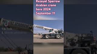 Rezayat Sparrow Arabian crane here September 11 2024 [upl. by Oinotla297]