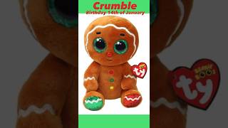 2023 Christmas TY Beanie Boos [upl. by Ybocaj]