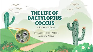 Dactylopius Coccus Assignment 1 [upl. by Ynnod687]