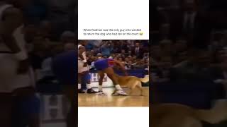 When a DOG on the NBA Court amp met Rodman [upl. by Quinby770]